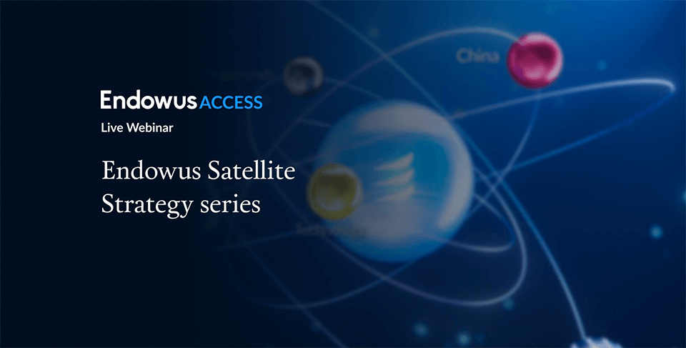 Endowus Satellite Strategy series